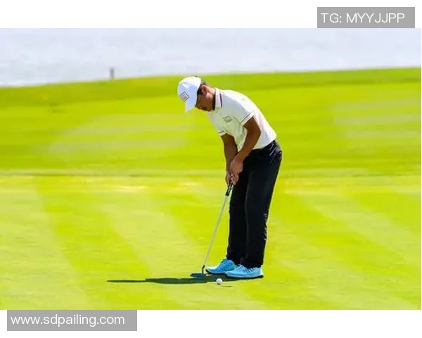 深圳羽毛球队逆袭总决赛背后的奋斗与荣耀之路