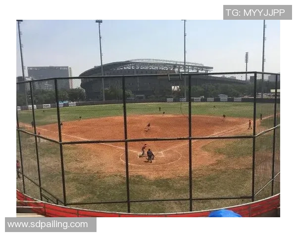 北京排球队意识对比深度剖析与战术演变的独特视角