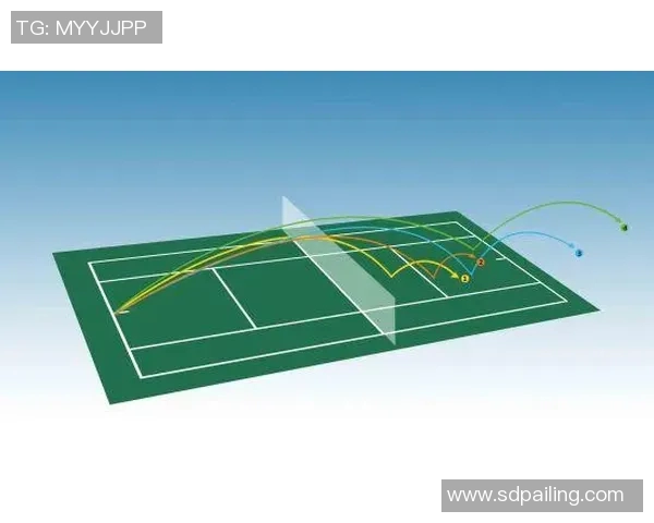 周娜独家分享足球心得与技巧解析助你提升球技与战术理解