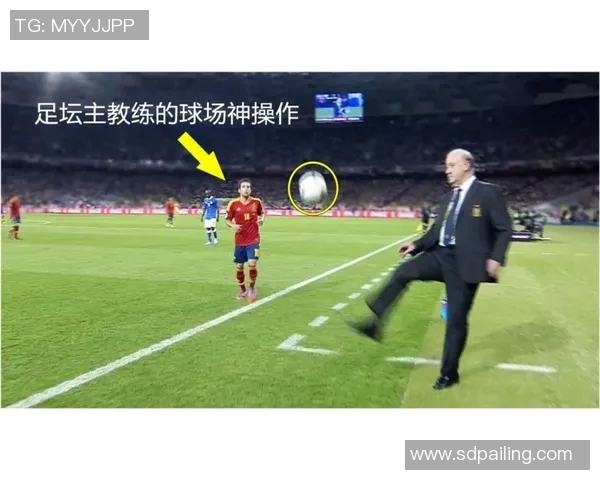 巴西足球明星积木的背后故事与成就揭秘