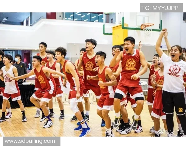 广州篮球队挑战赛战术分析与表现评估全面解读