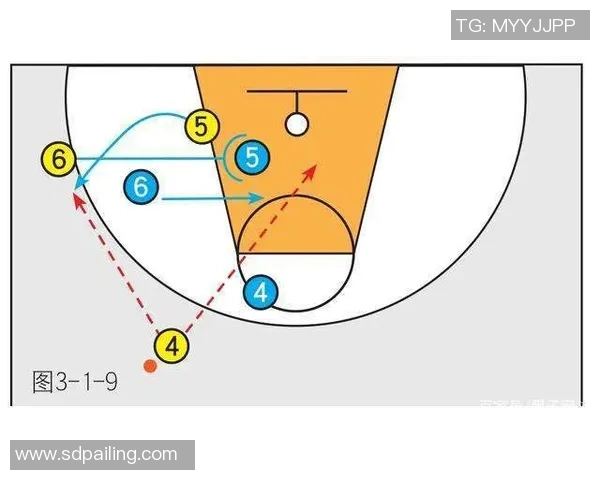 杭州篮球队的速度之美与战术解析探讨