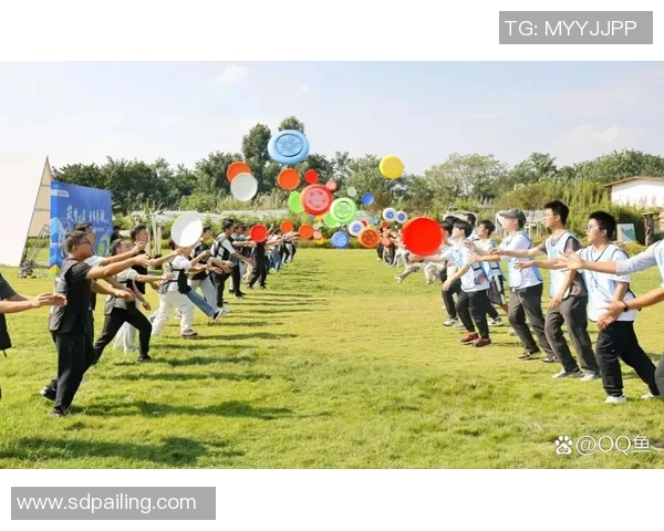 广州飞盘队如何通过团队协作变革提升竞技水平与团队凝聚力