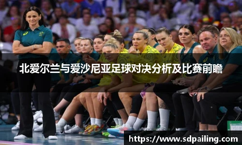 北爱尔兰与爱沙尼亚足球对决分析及比赛前瞻