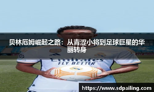 OE欧亿官网